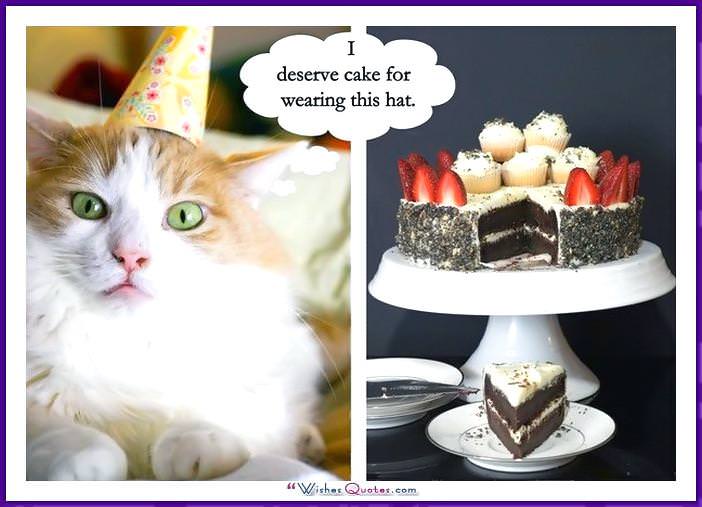 Happy Birthday Memes with Funny Cats, Dogs and Cute Animals