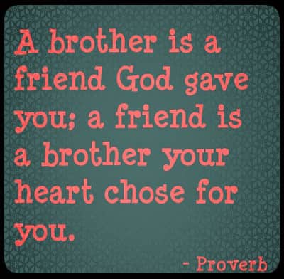 Featured image of post Birthday Quotes For Friend Like Brother