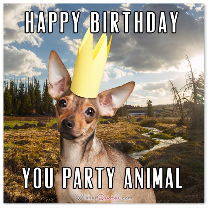 Happy Birthday Lustig: A Comprehensive Guide to Creating Joyful and Memorable Greetings
