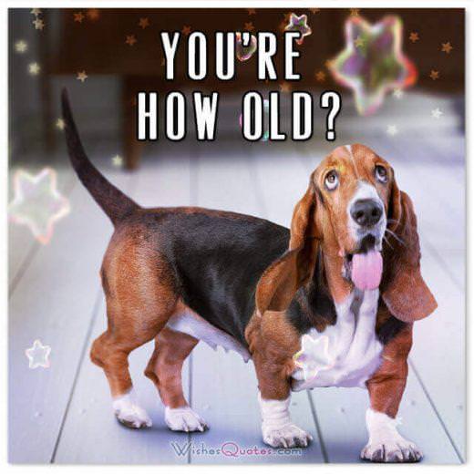 Happy Birthday Card : You’re How Old?