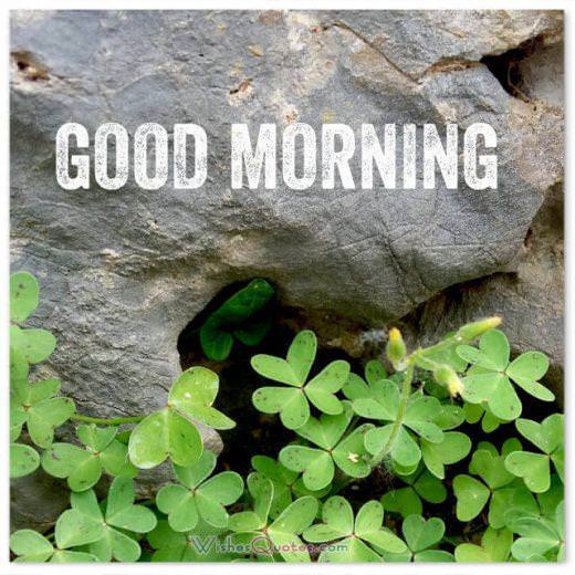 Good morning messages, quotes and images