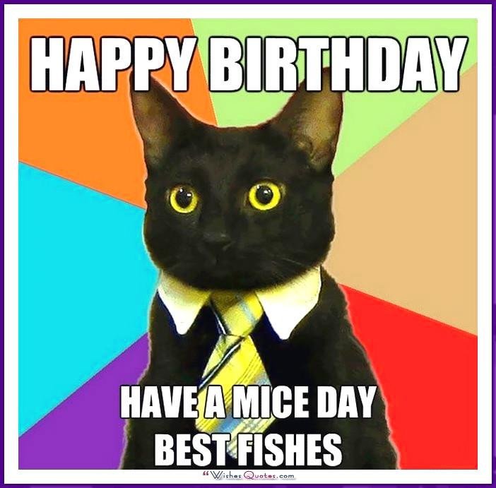 Happy Birthday Memes With Funny Cats, Dogs And Animals