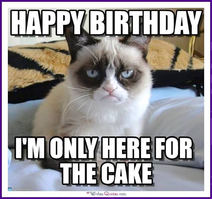 Happy Birthday Memes With Funny Cats, Dogs And Animals