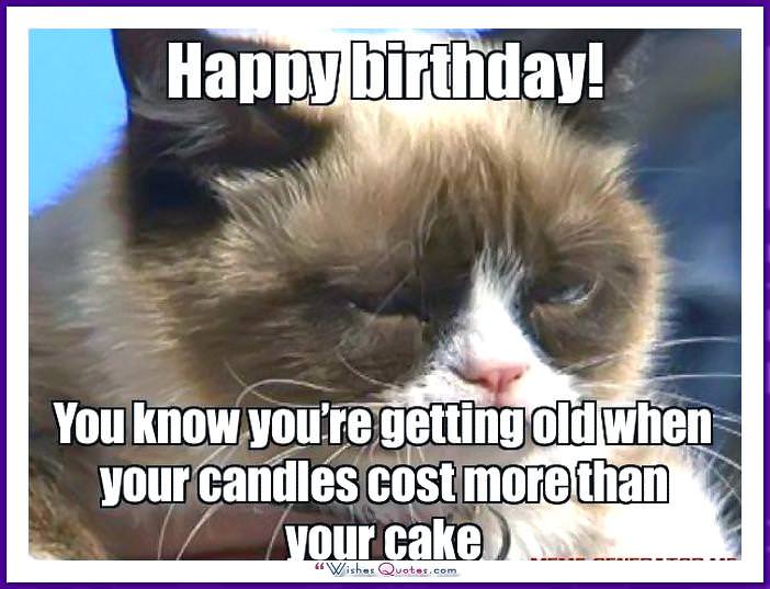 Happy Birthday Memes With Funny Cats Dogs And Animals