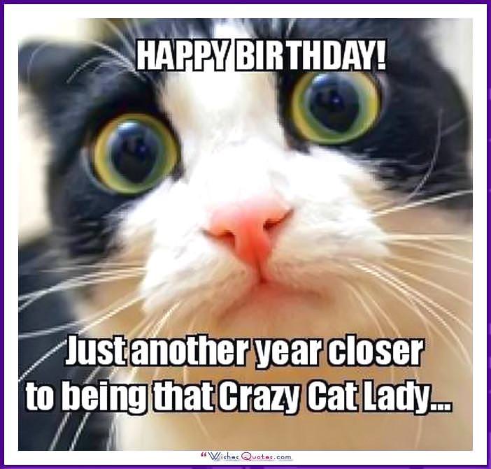 Happy Birthday Memes With Funny Cats Dogs And Animals