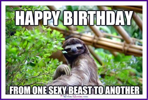 funny animal birthday wishes Images High Quality Grahic Happy Birthday Memes With Funny Cats, Dogs And Animals