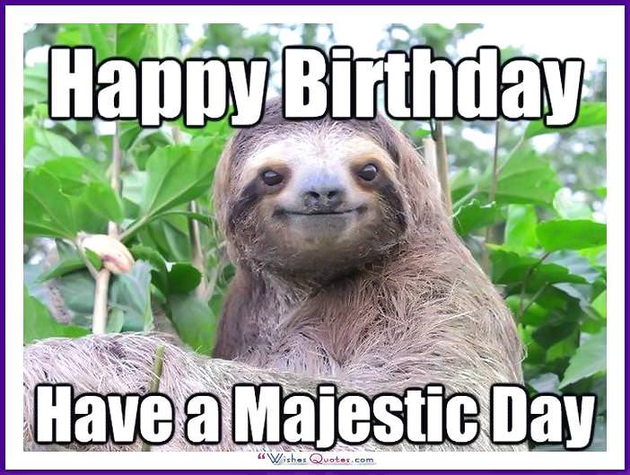 Funny Animal Birthday Meme: Have a majestic day!