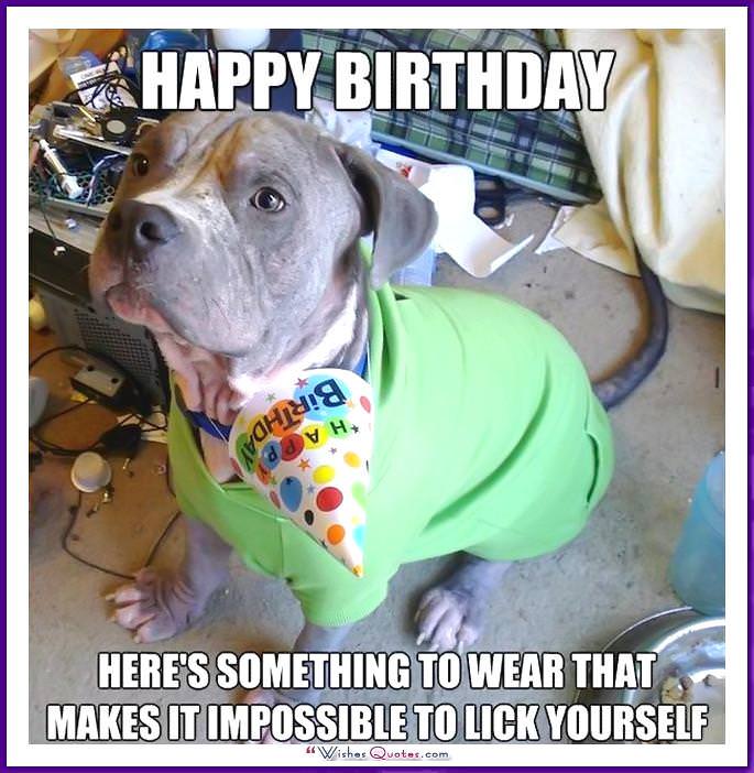 Funny Dog Birthday Meme: Here's something to wear that makes it impossible to lick yourself.