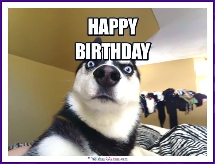 Birthday_Memes_Dogs_Funny_02