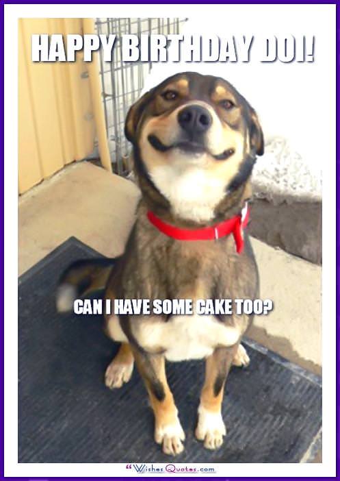 Funny Dog Birthday Meme: Can I have some cake too?