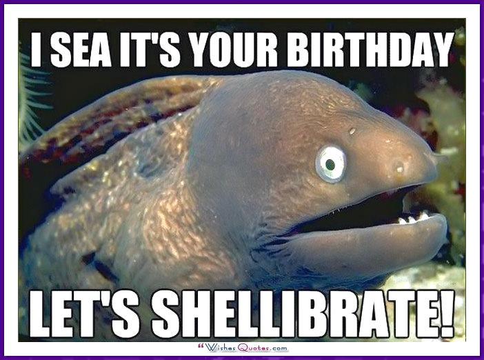 Birthday memes funny friends07 Funny Birthday Meme