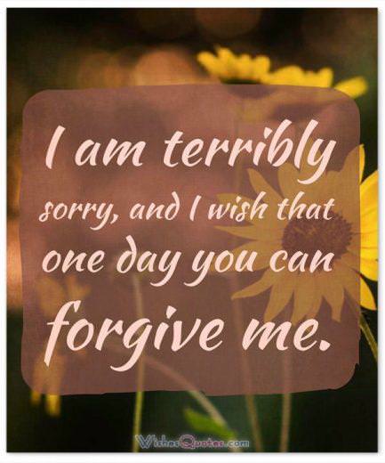 Apology Message: I am terribly sorry, and I wish that one day you can forgive me.
