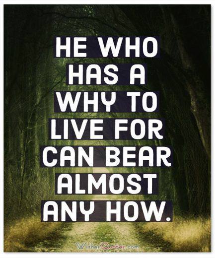 Strength Quotes: He who has a why to live for can bear almost any how. 