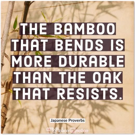 Japanese Proverbs - The bamboo that bends is more durable than the oak that resists.
