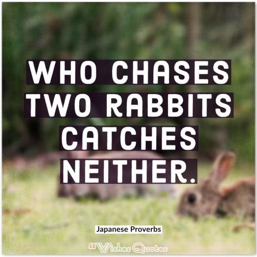 Japanese Proverbs - Who chases two rabbits catches neither.