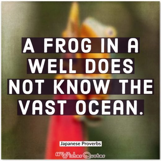 Japanese Proverbs - A frog in a well does not know the vast ocean.