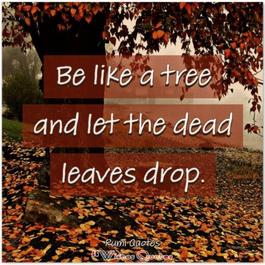 Rumi Quotes - Be like a tree and let the dead leaves drop.