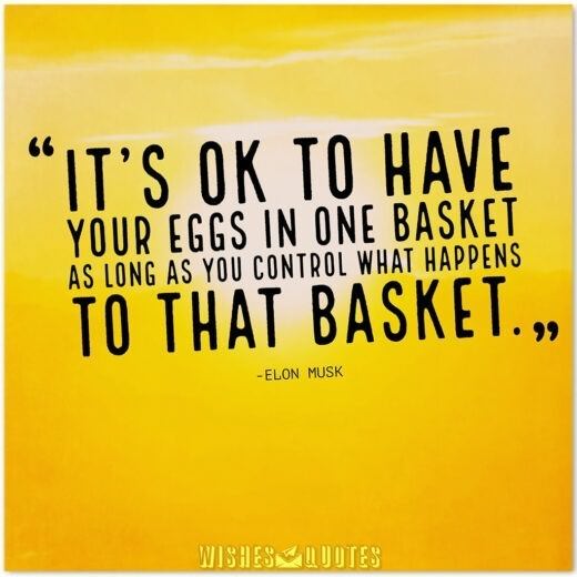 Elon Musk Quotes - It's OK to have your eggs in one basket as long as you control what happens to that basket.