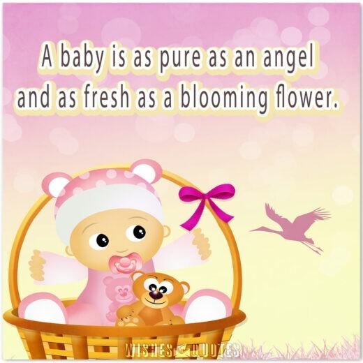 A baby is as pure as an angel and as fresh as a blooming flower. 