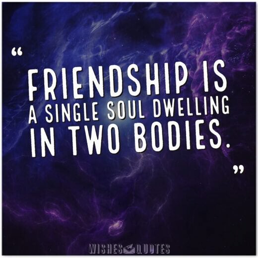 Friendship Is Friendship is a single soul dwelling in two bodies.