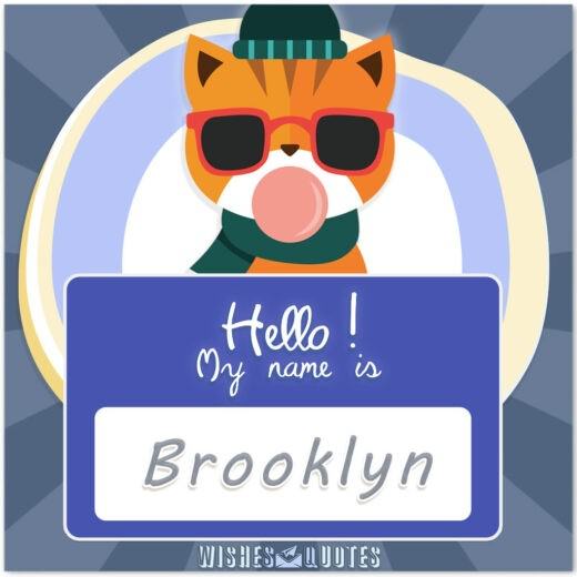 My Name Is Brooklyn