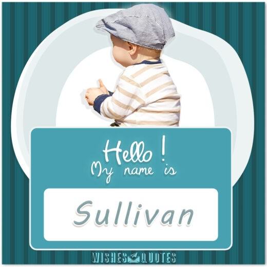 My Name Is Sullivan