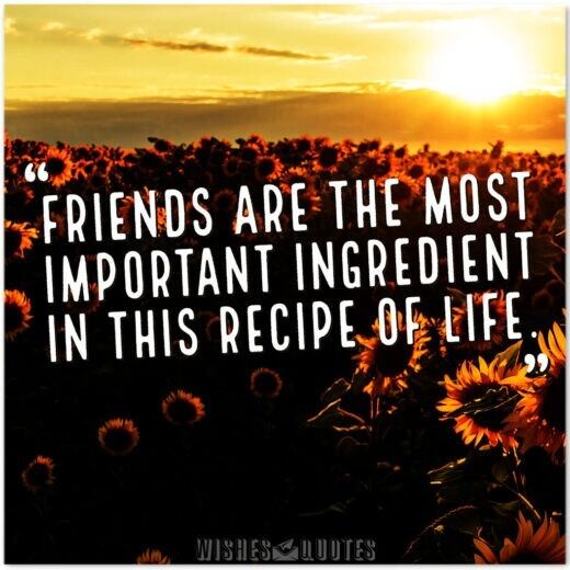 Friends are the most important ingredient in this recipe of life. Friends are the most important ingredient in this recipe of life.