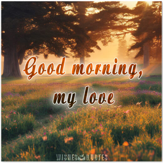 Good Morning My Love Good Morning My Love