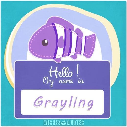 Hello! My Name Is Grayling.