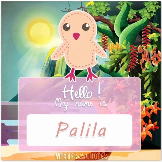 Hello! My Name Is Palila. Hello! My Name Is Palila.