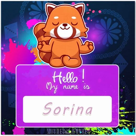 Hello! My Name Is Sorina.