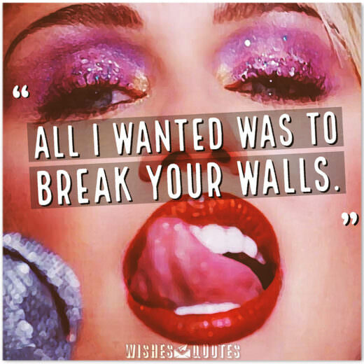 All I wanted was to break your walls. All I wanted was to break your walls.