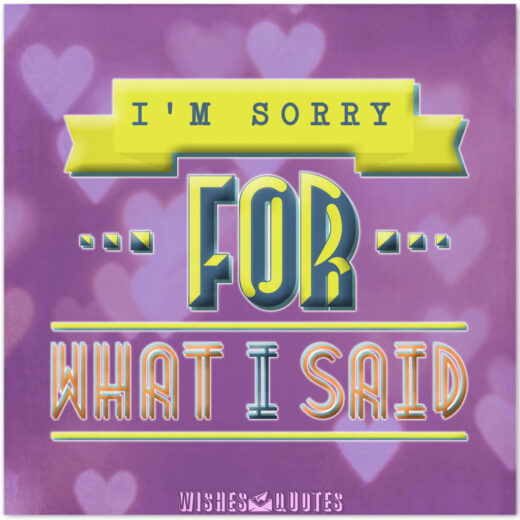 I’m sorry for what I said! I’m sorry for what I said!