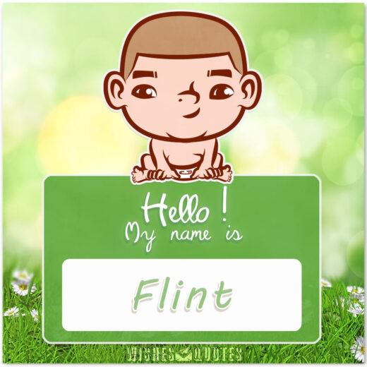 Hello! My Name is Flint.