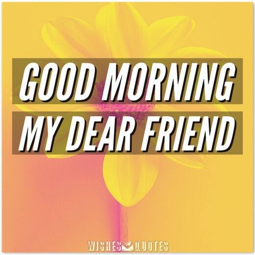 Good Morning My Dear Friend