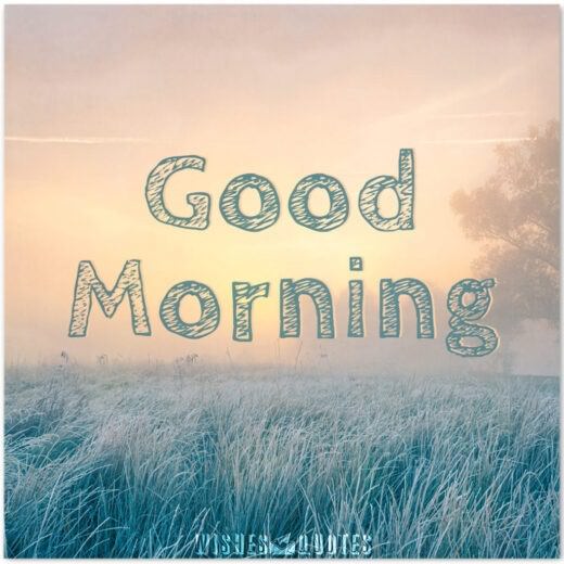 Good Morning