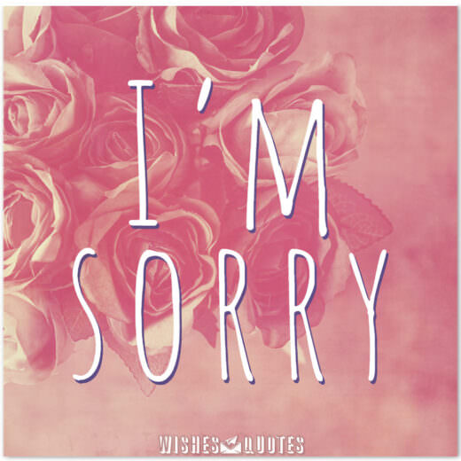 I'm Sorry I'm Sorry