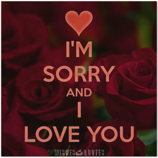 I'm Sorry and I Love You
