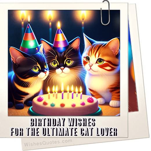 Kitty-centric Birthday Wishes For The Ultimate Cat Lover!