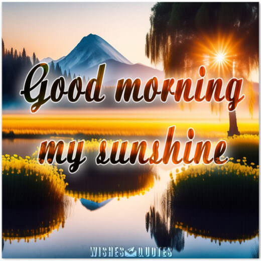 Good morning, my sunshine.